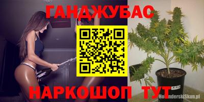 гидропоника Заводоуковск