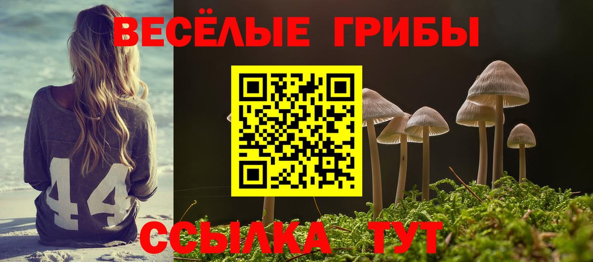 Галлюциногенные грибы Magic Shrooms  Вход с VPN  Красный Сулин 